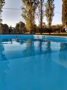 ein großer Pool mit blauem Wasser und Bäumen im Hintergrund in der Unterkunft AntoJos in Ramallo