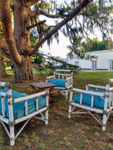 dwa łóżka i stół obok drzewa w obiekcie AntoJos w mieście Ramallo