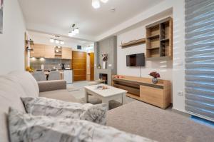 - un salon avec un canapé et une télévision dans l'établissement Apartman Aroma Lux 25, à Zlatibor
