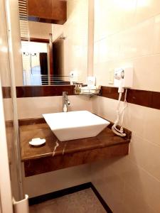 a bathroom with a white sink and a mirror at Hotel Boutique La Albertina in San Martín Texmelucan de Labastida