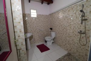 a bathroom with a shower and a toilet and a sink at Les G&icirc;tes De L'union in Les Abymes