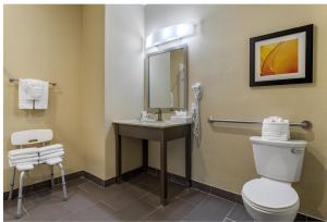 حمام في Comfort Suites Northwest Houston At Beltway 8