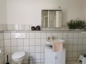 a bathroom with a toilet and a sink at Ferienhaus Hase Bomsdorfer Hof in Gräfenhainichen