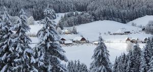 a village covered in snow with snow covered trees at Schwarzwaldblick in Titisee-Neustadt