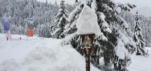 Garni B&B Chi Vai v zimě