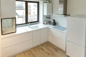 Kuchyň nebo kuchyňský kout v ubytování Elite Loft Apart