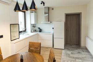 Kuchyň nebo kuchyňský kout v ubytování Elite Loft Apart