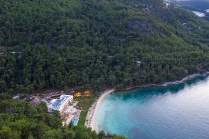 an aerial view of a beach and the ocean at Vathi Cove Luxury Resort & Spa in Chrysi Ammoudia