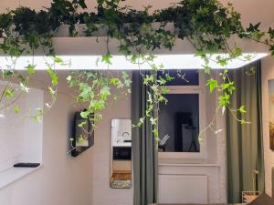 a room with a door with ivy growing over it at Takie studio, że żal nie wynająć in Łódź