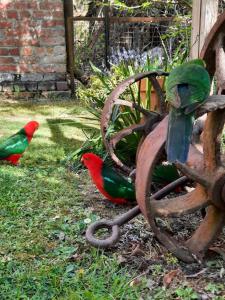 Φωτογραφία από το άλμπουμ του Windsor House B&B σε Walhalla