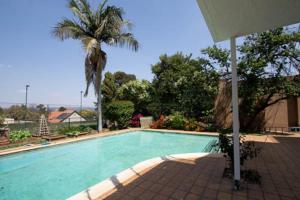 a swimming pool with a palm tree and a palm tree at Pine Park Garden Cottages in Johannesburg