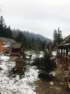 Příroda nedaleko penzionu – hostince