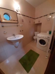 uma casa de banho com um lavatório e uma máquina de lavar roupa em Grand Central House em Odorheiu Secuiesc