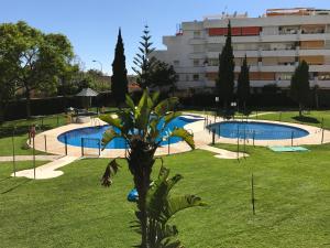 a park with two pools and a palm tree at Appartement 2 chambres - Arroyo de la Miel (Parque de la Paloma) - 900m de la plage in Benalmádena
