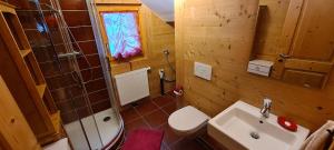 a bathroom with a sink and a toilet and a shower at Chalet Brimborion in Champéry