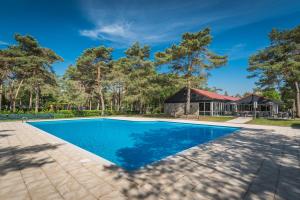 a swimming pool in the backyard of a home with trees at Chalet O'hara in Bilthoven