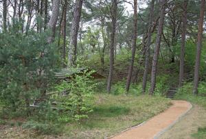 Naturlandschaft in der Nähe der Ferienwohnung