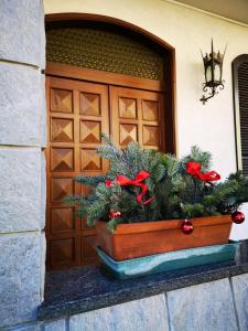 une plante dans un pot devant une porte dans l'établissement Casa Vacanze - Residenza Elvezia, à Tirano