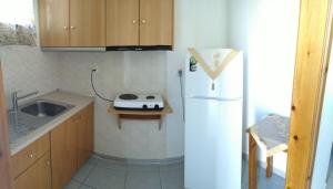 a kitchen with a white refrigerator and a sink at Panorama Plati in Platy