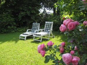 two chairs sitting in a yard with pink roses at Haus an der Therme in Bad Endorf