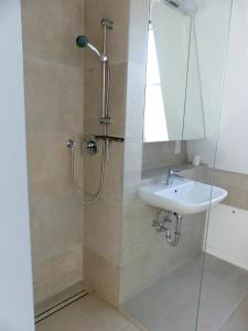 La salle de bains est pourvue d'un lavabo et d'une douche. dans l'établissement südausgerichtetes Apartment SüdWest Kleinmachnow, à Kleinmachnow