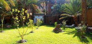 Κήπος έξω από το Riad Dar Sofian