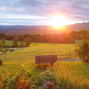 un banco en un campo con la puesta de sol en el fondo en Hof Rossruck, en Fischbachau