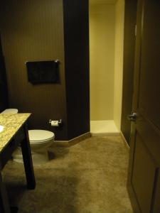 a bathroom with a toilet and a sink at Teddy's Residential Suites Watford City in Watford City