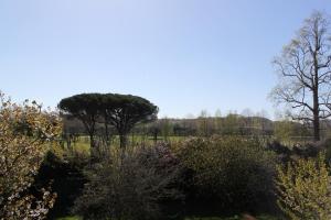 a group of trees and bushes in a field at Appartements de Chantaco in Saint-Jean-de-Luz