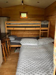 a room with two bunk beds in a cabin at Unique Off- Grid Beehive Pod at Westcote Glamping in Hawick