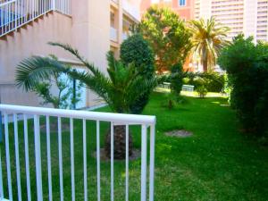 Vonkajšia záhrada v ubytovaní Spacious apartment in El Campello, 120 m², shared pool