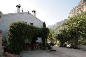 a white house with trees and chairs in front of it at 5 bedrooms villa with private pool enclosed garden and wifi at Sorihuela del Guadalimar in Sorihuela del Guadalimar