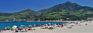 アルジェレス・シュル・メールにあるMaison de 2 chambres a Argeles sur Mer a 400 m de la plage avec piscine partagee et terrasseのギャラリーの写真