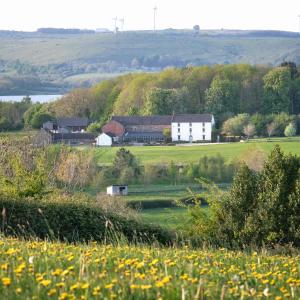 uma casa branca no meio de um campo de flores em Barn Owl Lodge at Millfields Farm Cottages em Ashbourne