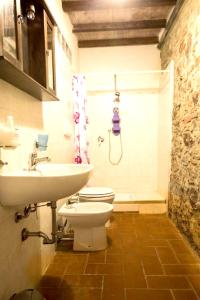 a bathroom with a toilet and a sink at 2 bedrooms apartement with shared pool and wifi at Massa Marittima in Massa Marittima
