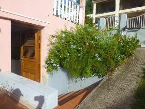 Κήπος έξω από το Studio accueillant à Sainte Anne - 30 m² - Vue montagne +4 φωτογραφίες