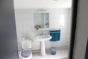 a bathroom with a sink and a toilet and a mirror at Maison d'une chambre avec jardin clos et wifi a Saint Patrice in Saint-Patrice