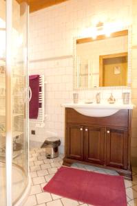 a bathroom with a sink and a shower with a mirror at Chalet de 3 chambres avec jardin amenage et wifi a Saint Andre a 8 km des pistes in Saint-André