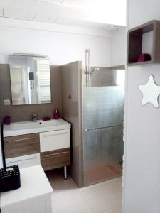 y baño con lavabo y ducha. en Maison de 2 chambres avec jardin a Lendou en Quercy a 7 km de la plage, en Montlauzun