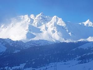 a snow covered mountain with trees in front of it at Appartement de 3 chambres avec balcon et wifi a Vars a 2 km des pistes in Vars