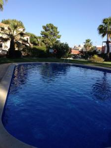 una grande piscina blu con palme sullo sfondo di Charming house in Vilamoura with shared pool a Vilamoura