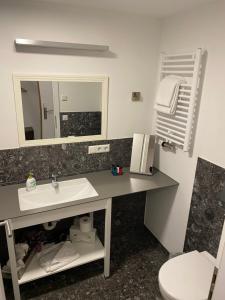 a bathroom with a sink and a toilet and a mirror at Ochsen Hotel Am Mehlsack in Ravensburg