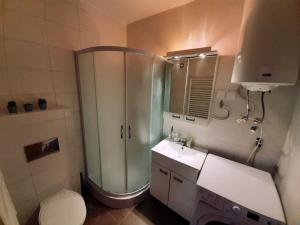 ein Badezimmer mit Dusche, Toilette und Waschbecken in der Unterkunft Apartman Teodora in Kopaonik