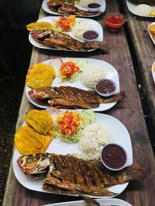 a group of plates of food with fish and rice at Finca La Puesta del Sol - Miramar de Sierpe in Sierpe