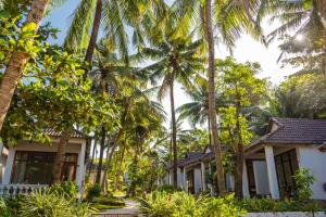a row of palm trees in front of a house at Nhat Lan Resort in Phú Quốc