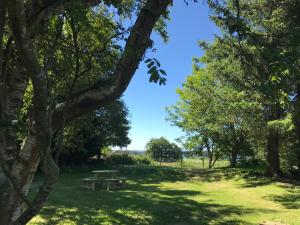 una mesa de picnic en medio de un campo con árboles en Mauldslie Hill Cottage en Gorebridge