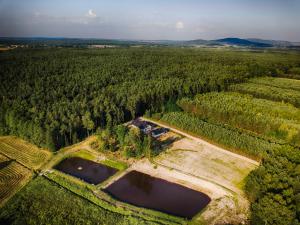 une vue aérienne sur un champ avec deux étangs dans l'établissement Komfortowy Leśny Dworek, à Snochowice