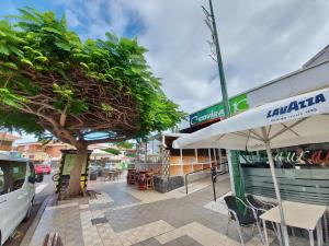 Fotografie z fotogalerie ubytování Estudio Plata v destinaci Puerto de la Cruz