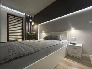 a bedroom with a large bed and a night stand at 4UApart-Apartment suite Platan Grey in Świnoujście
