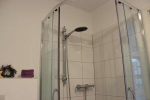 una ducha con puerta de cristal en un baño en Ferienhaus Brücke, en Quedlinburg 30 fotos más